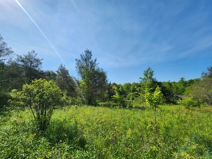 Finger lakes NY land for sale