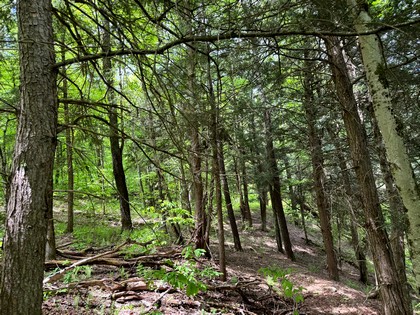 NY waterfront land for sale