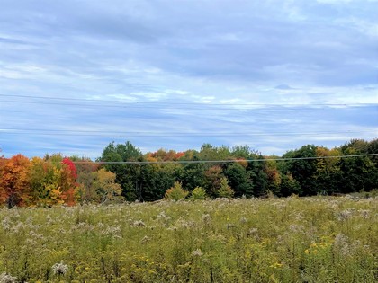 NY land for sale Catskills area