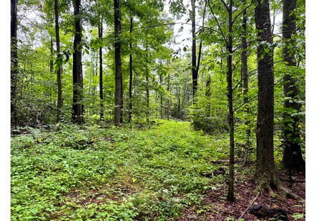 Finger Lakes NY land for sale