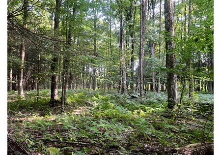 NY hunting camps for sale