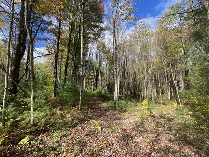 NY hunting land for sale