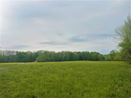 Meadows and woodlands - beautiful building lot in Florence NY near Mad River State Forest.