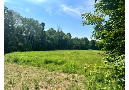 Salmon River NY land for sale