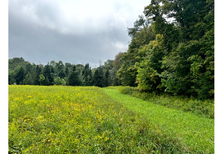 Finger Lakes NY land for sale