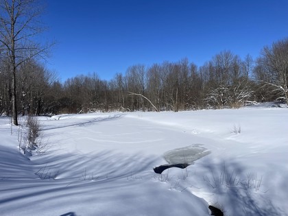 Upstate NY farmhouse and land for sale