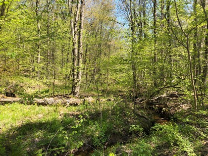 Adirondack NY land for sale