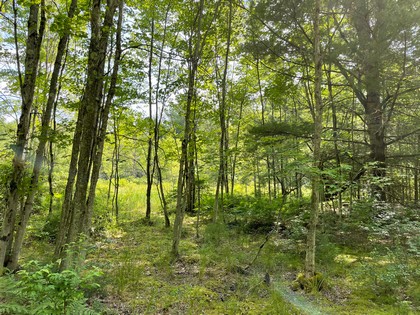 NY land for sale in Vienna NY