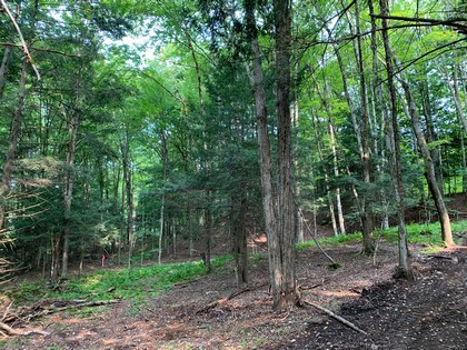 Land and camp for sale Florence NY