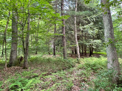 NY land for sale Vienna NY