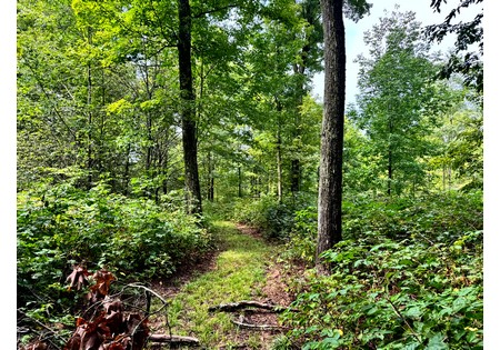 Finger Lakes area NY land for sale