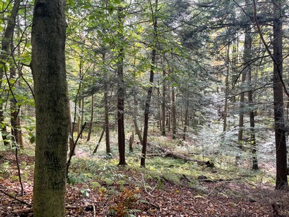 NY property for sale near Oneida Lake