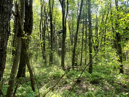 Tug Hill NY land for sale