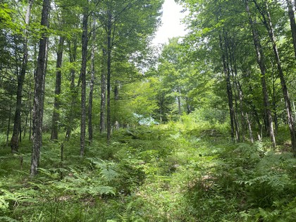 NY camps for sale