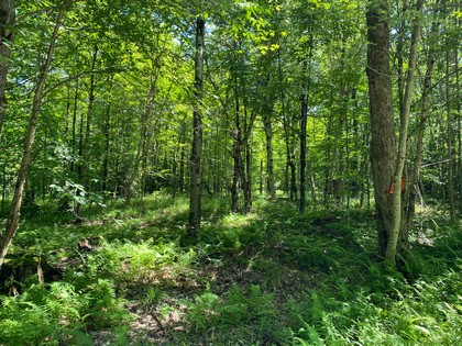 NY camp for sale in Croghan, NY