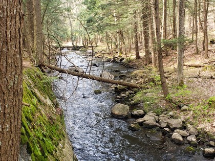 Adirondack land for sale NY