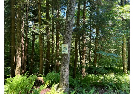 NY hunting land for sale