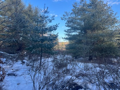 Catskills NY land for sale