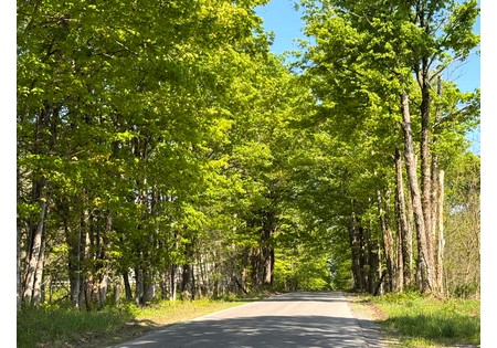 Tug Hill NY land for sale