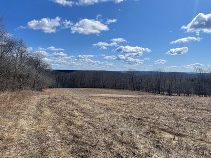 NY hunting land for sale in southern tier