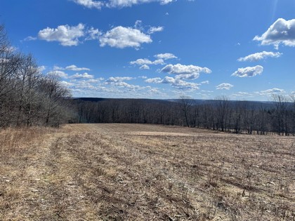 NY hunting land for sale in southern tier