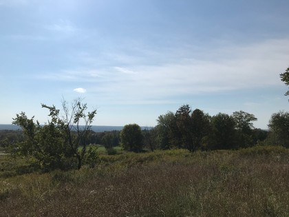 NY land for sale in Florence NY