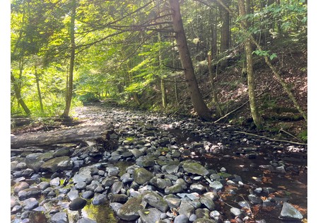 NY hunting land for sale
