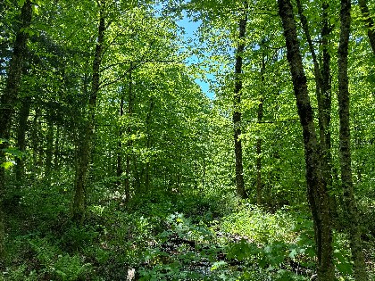 NY waterfront land for sale