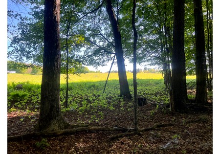 NY Southern Tier hunting land for sale