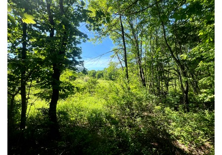 NY Southern Tier land for sale