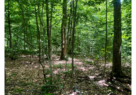 Land NY bordering state land for sale