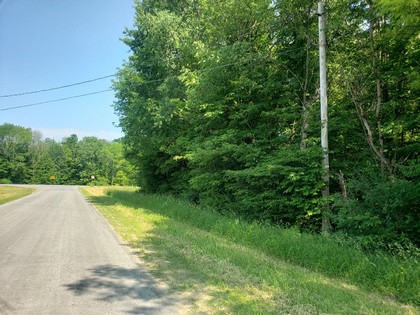 NY land and camp for sale in Tug Hill