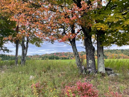 NY land for sale Catskills area