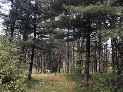 NY land for sale western Adirondacks