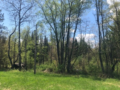 Building site near Adirondacks - NY Land for sale