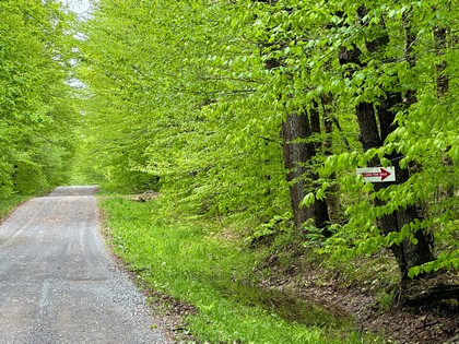 NY camps for sale
