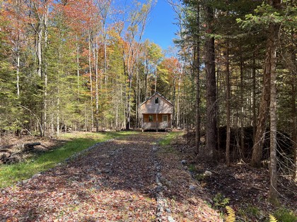 NY land and camps for sale