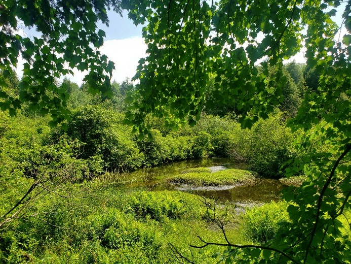 NY waterfront land for sale on Fish Creek