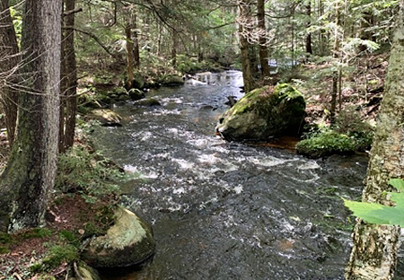 Riverfront Property For Sale Oneida County Ny Thumbnail From Land And Camps