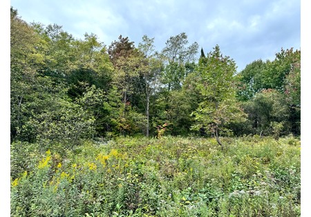 NY land for sale