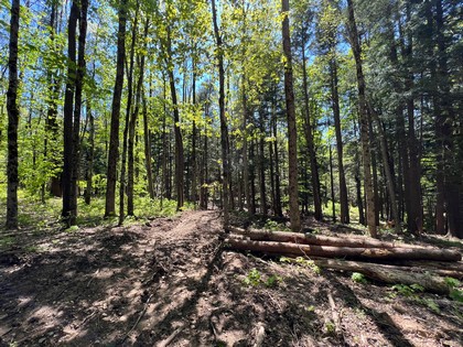 Meadows and woodlands - beautiful building lot in Florence NY near Mad River State Forest.