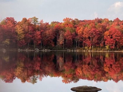 Adirondack camps for sale NY