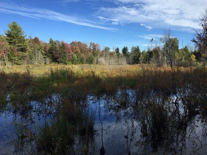 NY waterfront land for sale