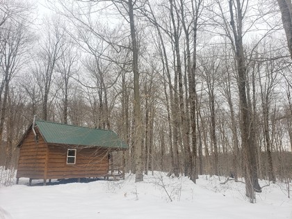 Two NY camps for sale - Tug Hill area