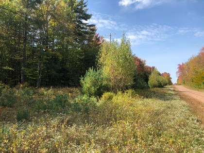 NY land for sale near Oneida Lake