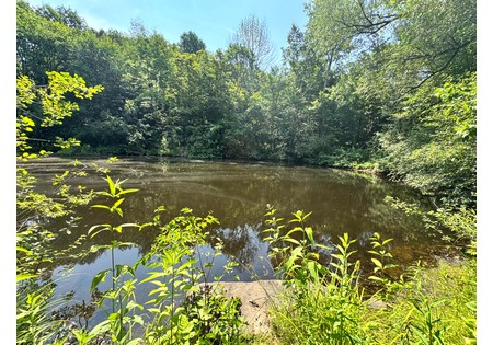 Salmon River NY building site