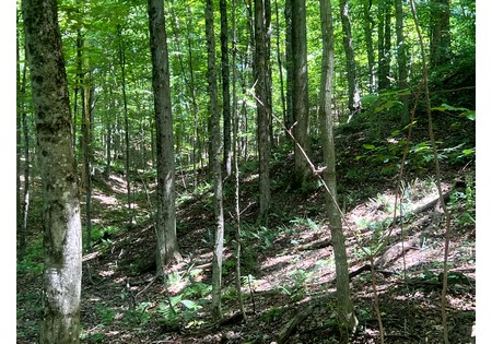 NY camps for sale