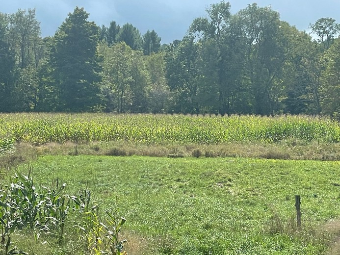 Land For Sale Mendon Ny