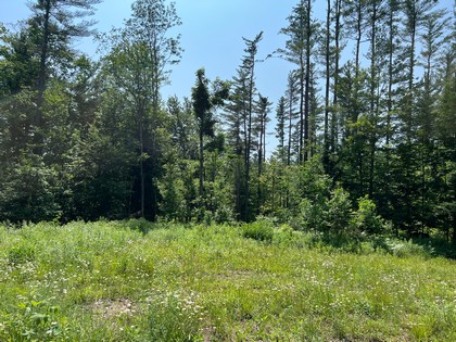 Adirondack NY land for sale