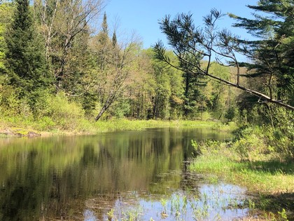 Western Adirondacks - NY camp for sale on 10 acres